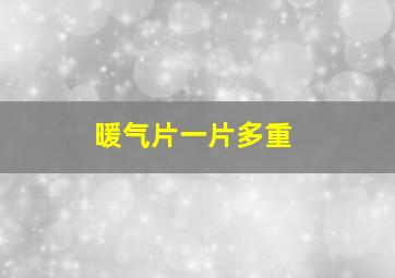 暖气片一片多重