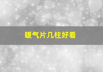 暖气片几柱好看