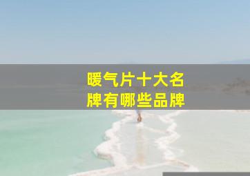 暖气片十大名牌有哪些品牌