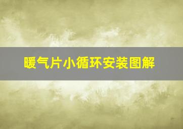 暖气片小循环安装图解