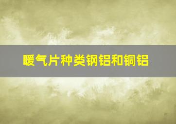 暖气片种类钢铝和铜铝