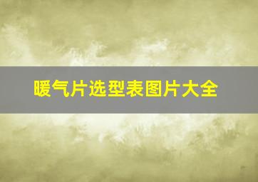 暖气片选型表图片大全