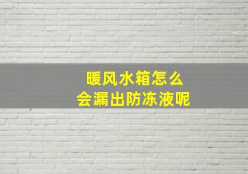 暖风水箱怎么会漏出防冻液呢