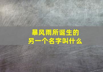 暴风雨所诞生的另一个名字叫什么