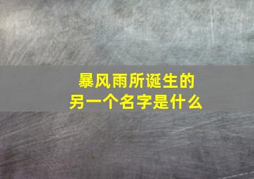 暴风雨所诞生的另一个名字是什么