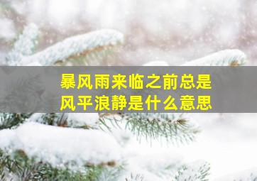 暴风雨来临之前总是风平浪静是什么意思