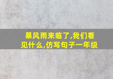 暴风雨来临了,我们看见什么,仿写句子一年级