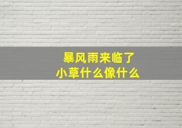 暴风雨来临了小草什么像什么