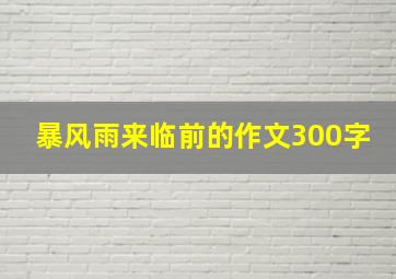 暴风雨来临前的作文300字