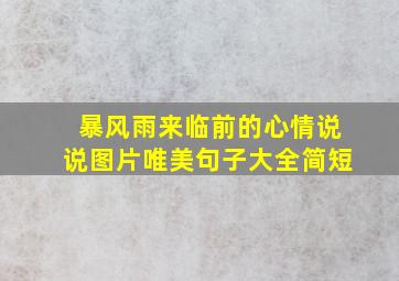 暴风雨来临前的心情说说图片唯美句子大全简短