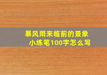 暴风雨来临前的景象小练笔100字怎么写