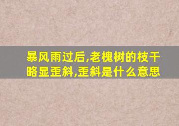 暴风雨过后,老槐树的枝干略显歪斜,歪斜是什么意思