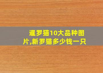 暹罗猫10大品种图片,新罗猫多少钱一只