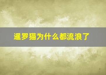 暹罗猫为什么都流浪了