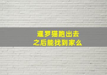 暹罗猫跑出去之后能找到家么