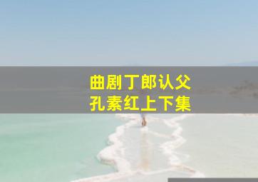 曲剧丁郎认父孔素红上下集