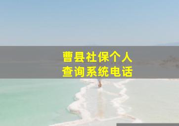 曹县社保个人查询系统电话