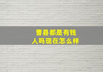 曹县都是有钱人吗现在怎么样