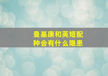 曼基康和英短配种会有什么隐患