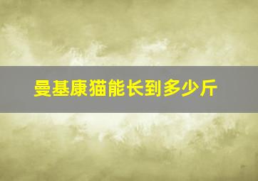 曼基康猫能长到多少斤