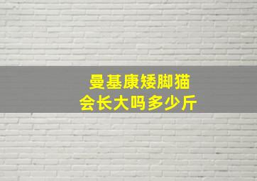 曼基康矮脚猫会长大吗多少斤