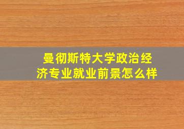 曼彻斯特大学政治经济专业就业前景怎么样