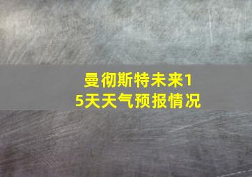 曼彻斯特未来15天天气预报情况