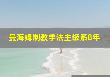 曼海姆制教学法主级系8年