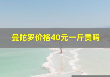 曼陀罗价格40元一斤贵吗