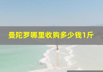 曼陀罗哪里收购多少钱1斤