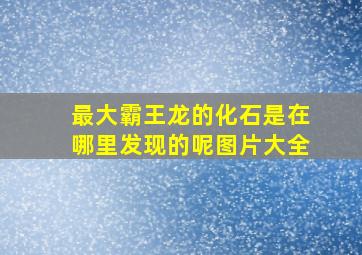 最大霸王龙的化石是在哪里发现的呢图片大全