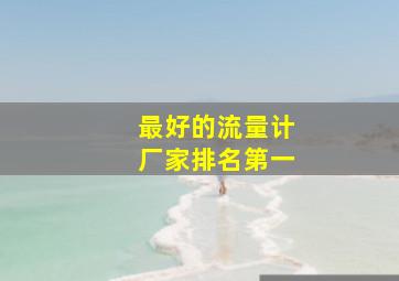 最好的流量计厂家排名第一