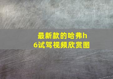 最新款的哈弗h6试驾视频欣赏图