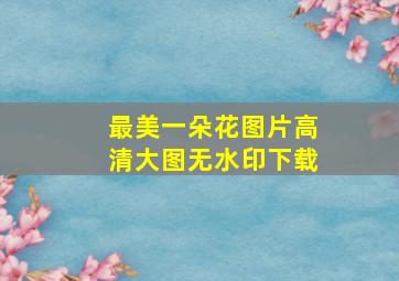 最美一朵花图片高清大图无水印下载