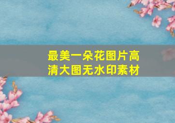 最美一朵花图片高清大图无水印素材