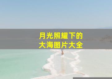 月光照耀下的大海图片大全