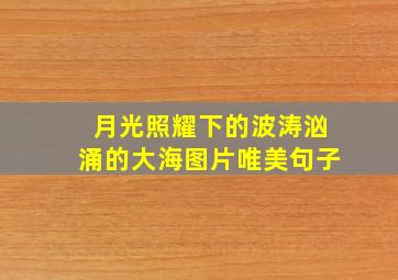 月光照耀下的波涛汹涌的大海图片唯美句子