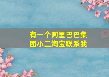 有一个阿里巴巴集团小二淘宝联系我