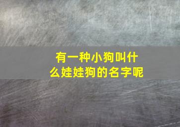 有一种小狗叫什么娃娃狗的名字呢