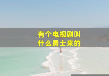 有个电视剧叫什么勇士来的