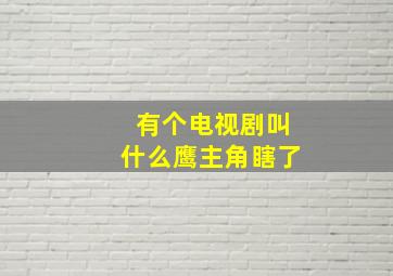 有个电视剧叫什么鹰主角瞎了