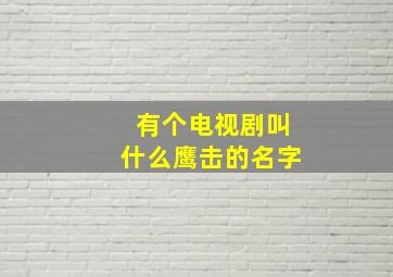 有个电视剧叫什么鹰击的名字