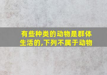 有些种类的动物是群体生活的,下列不属于动物