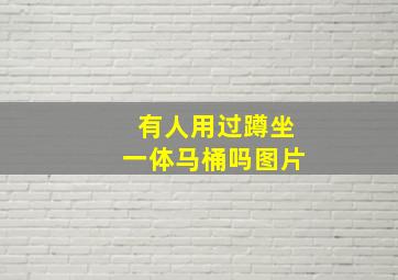 有人用过蹲坐一体马桶吗图片