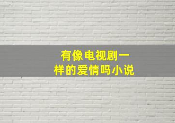 有像电视剧一样的爱情吗小说