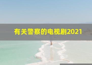 有关警察的电视剧2021