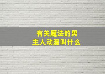 有关魔法的男主人动漫叫什么