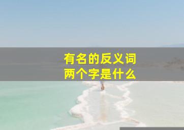 有名的反义词两个字是什么