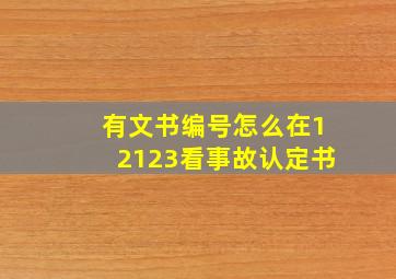 有文书编号怎么在12123看事故认定书