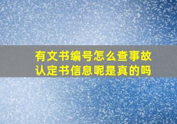 有文书编号怎么查事故认定书信息呢是真的吗